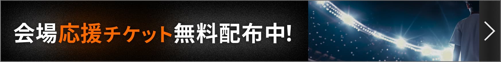 4v4 asiancup2024_25 チケット