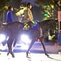 【菊花賞】「人馬一体」杉山晴紀調教師×松山弘平騎手×ロブチェン ３冠へ死角なし