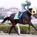 　【浦和３Ｒ・２歳新馬】３冠かかるロブチェンと父が同じテンマデノボレが圧巻の大差Ｖ　中島良美騎手「追ってからの反応がはやい」
