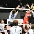 バレー女子・アランマーレ、ホーム開幕戦は黒星　今季から秋田に移転