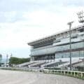 【ネクストスター金沢結果】ハジマリノアイズが重賞初制覇を飾る