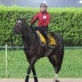 【注目馬動向】クイーンズウォークはエリザベス女王杯でＣデムーロ騎手と新コンビを結成　
