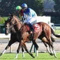 【注目馬動向】アドマイヤズームは武豊騎手、オフトレイルは引き続き菅原明良騎手とのコンビでマイルＣＳへ