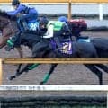 【菊花賞】２冠馬ロブチェンがＣＷコースで躍動　３冠へ杉山晴調教師は松山弘平騎手に全幅の信頼「特に心配していない」