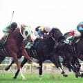 タヤスアゲインが３１歳で死す…スペシャルウィークの同期　９８年の青葉賞勝ち馬