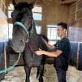 【菊花賞】ロブチェンの強さは「緩く」柔軟な筋肉　担当の中井健司獣医師「本当に良化をたどっていった馬」