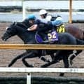 【天皇賞・秋】Ｇ１・４勝クロワデュノール、秋初戦へ外から豪快な伸び脚披露