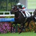 【アルテミスS出走馬・騎手確定】リスグロワール＆坂井瑠星騎手、プルヴィナル＆C.ルメール騎手など13頭