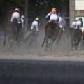 【笠松・岐阜金賞結果】アースジャッジが重賞2勝目を飾る