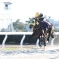 【岐阜金賞・笠松】１番人気のアースジャッジが完勝　同一オーナー、調教師のワンツーに丸野勝虎騎手「本当に良かった」