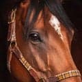 【アルテミスS／全頭診断】未来のGI馬も多い出世レース　“東京マイル特注血統”にロックオン