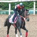 【アルテミスＳ】名牝リスグラシューの娘リスグロワールは５枠６番　ルメール騎手のプルヴィナルは６枠９番