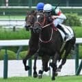 【アルテミスS予想】血統や戦歴から大きな割引が必要!? 輸送やスタートにも課題を残す人気馬