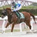 【東海クラウン・笠松】ゴールドボンドが８馬身差の逃亡劇　渡辺竜也騎手「強かったです」８番人気の伏兵が２着で３連単は１０万円超