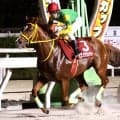 【阪神アーバン競馬】高知のミスズグランドオーが逃げ切りＶ　塚本征吾騎手「やっと勝てた」兵庫ゴールドカップ
