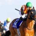 コスタノヴァが引退…種牡馬入り