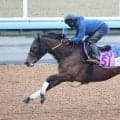 【２４日の注目・東京８Ｒ】新馬戦でのちのダービー２着馬を撃破！　良血馬アートバーゼルが１年ぶりの復帰戦に臨む