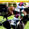 １２年日本ダービー馬のディープブリランテ死す　矢作芳人調教師「俺を男にしてくれた馬」岩田康誠騎手「人生を変えた馬」