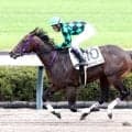 【２４日の注目・京都９Ｒ】前走１０馬身差Ｖのポッドビートを筆頭に砂のスピード自慢が集結　馬券的な妙味も十分