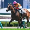 【アルテミスS予想】阪神JFへ向けた重要な前哨戦 瞬発力問われる東京マイル