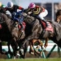 【競馬予想】菊花賞はロブチェンで絶対ではない　秋華賞でギャラボーグの激走を見抜いていた元ジョッキーの狙い目