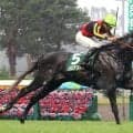 【注目馬動向】新潟記念を制したゾロアストロは鳴尾記念へ