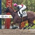 【京都３Ｒ・２歳新馬】５番人気ハメドスタイルが５馬身差で快勝　田山旺佑騎手「最後はまだ遊ぶくらいの手応え」