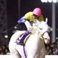 「これは嬉しいニュース」２１歳、今も人気の白毛馬がノーザンホースパーク入り　「豪華」「会いに行きたい」ユキチャンに注目集まる