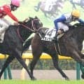 【東京５Ｒ・２歳新馬】リラノヴァが勝負根性を発揮して鼻差の接戦を制す　横山和生騎手「馬に対しての反応が…」