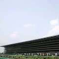 【東京6R新馬戦結果】イントゥミスチーフ産駒アメリカンフレンズが逃げ切り勝ち