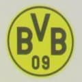独サッカー界の社会問題…観客が自撮り配信に躍起　「スマホロックで賞品」ドルトムントが解消策