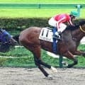 【東京６Ｒ・２歳新馬】５５６キロのアメリカンフレンズが逃げ切ってデビュー勝ち　津村明秀騎手「スタートセンスが抜群」