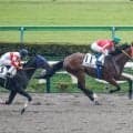【東京6R新馬戦結果】イントゥミスチーフ産駒アメリカンフレンズが逃げ切り勝ち