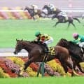 【カシオペアＳ】３歳馬ディールメーカーが古馬撃破　川田将雅騎手「返し馬で大丈夫だと思いました」