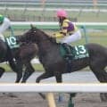 「最高」「買える騎手」１０番人気馬を２着に導いた「コバミク」がトレンド入り！　アルテミスＳの小林美駒騎手