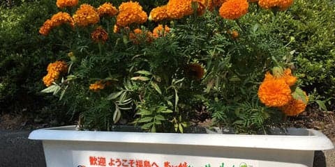 大会6日目、女子シングルス準々決勝、準決勝、女子ダブルス準決勝結果 [南東北インターハイ]
