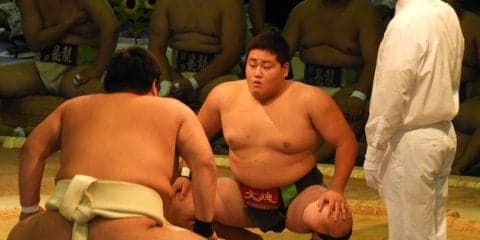 【THE INSIDE番外編】金沢学院が逆転勝利で10年ぶりの優勝…インターハイ 相撲競技（団体戦）