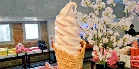 ソフトクリーム「通算1000万円以上」食べまくってもイイカラダ「体調管理の極意」