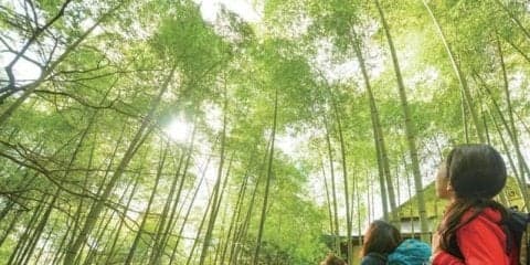 ビギナーも楽しめるハイキングガイド「奥むさし飯能山めぐり」配布