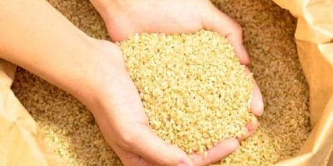 ダイエッターや女性必見！玄米のもつすごいパワー