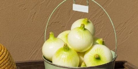 体がだるい･･･身体をリセットしてくれる春野菜をピックアップ！