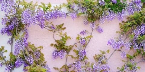 季節の変わり目を乗り越える！意識したい習慣5つ