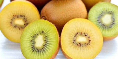 フルーツの王様「キウイ」で風邪に負けないカラダを作りましょう
