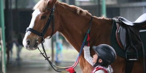 レッスン代無料！こども向け乗馬教室が8月末まで開催