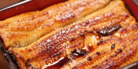 しっかり栄養を摂って夏バテ予防をしよう