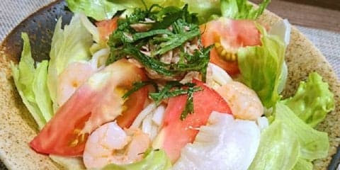サラダうどんで暑い季節はつるっと乗り切ろう