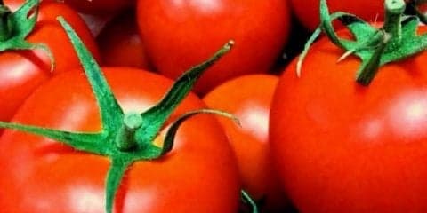 夕食の前にトマトを食べるだけのダイエット法！