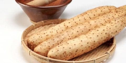 じゃがいもやさつまいもとは違う！ 種類豊富な「やまのいも類」