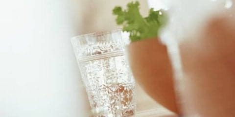 ドロドロ血液をサラサラに！栄養士おすすめの4つの食品