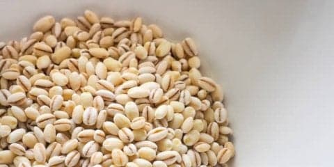 ダイエッターにおすすめ！食物繊維が豊富なもち麦を食べるメリット3つ